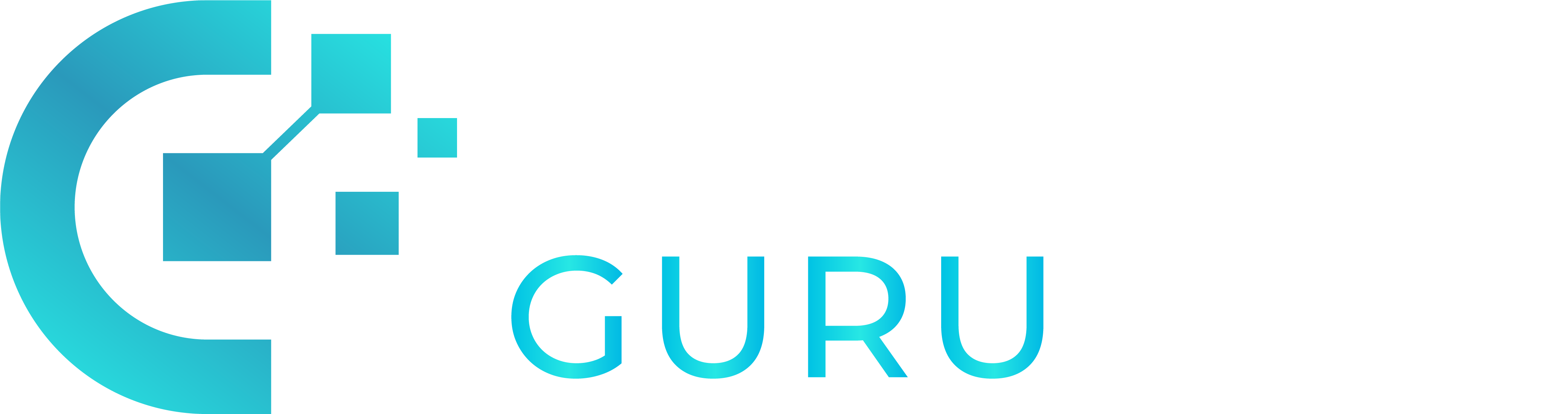 Outsource Guru